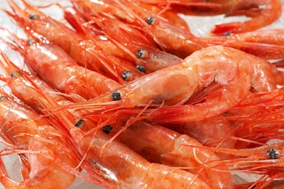 苫前産甘えび500g（冷凍）