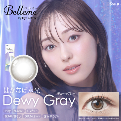 ベルミー Dewy Gray デューイグレー 10枚