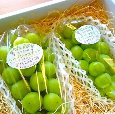 長野県 生坂村 ぶどうカード第2弾コンプリートセット 生坂村 ぶどう