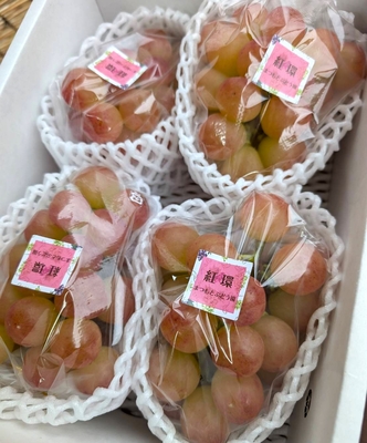 紅環(べにたまき)約1.2kg（3～4房）