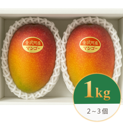 【家庭用/1kg】沖縄県金武町産 アップルマンゴー