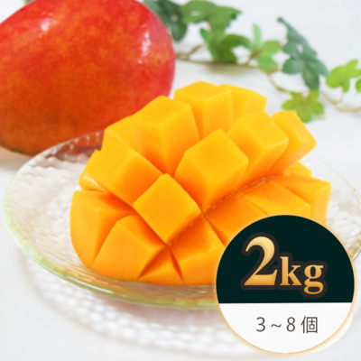 【贈答用/2kg】沖縄県金武町産/アップルマンゴー