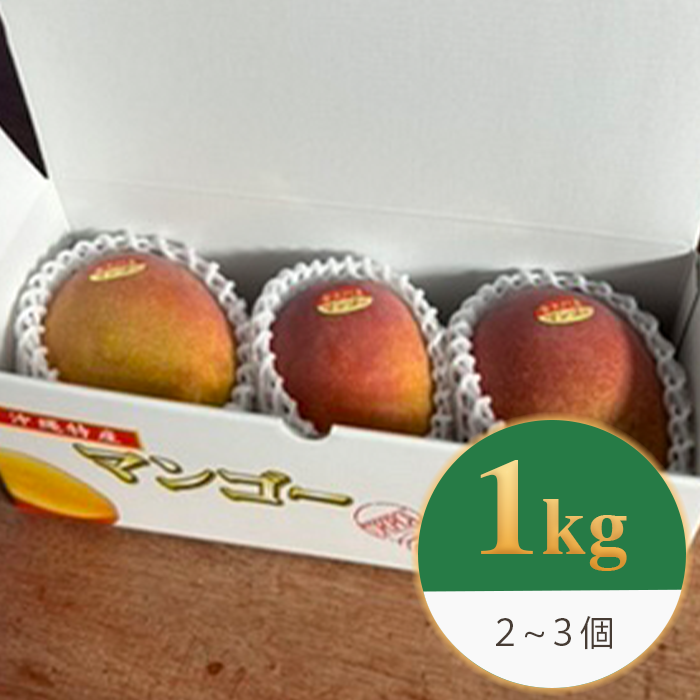 沖縄県金武町産アップルマンゴー（良品1kg）｜前田農園 | 前田農園shop