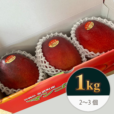 【秀品/1kg】沖縄県金武町産 アップルマンゴー
