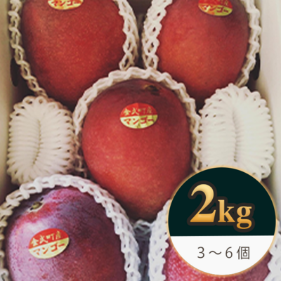 【秀品/2kg】沖縄県金武町産 アップルマンゴー