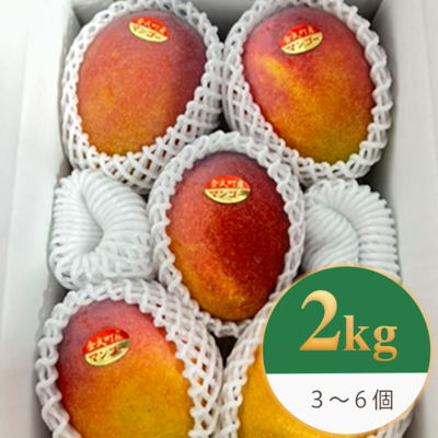 【良品/2kg】沖縄県金武町産 アップルマンゴー