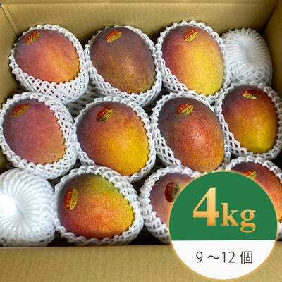 【良品/4kg】沖縄県金武町産 アップルマンゴー