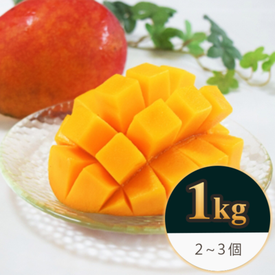 【贈答用/1kg】沖縄県金武町産 アップルマンゴー