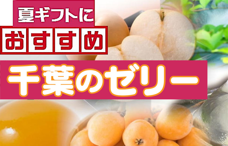 夏ギフトのオススメ 千葉のゼリー