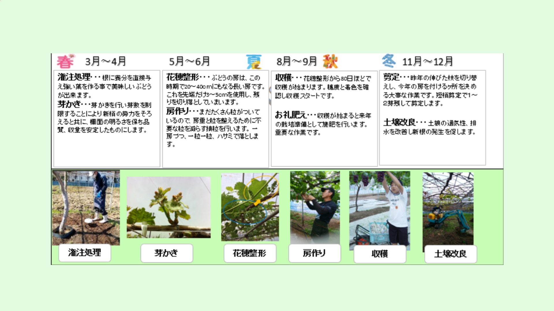 栽培カレンダー