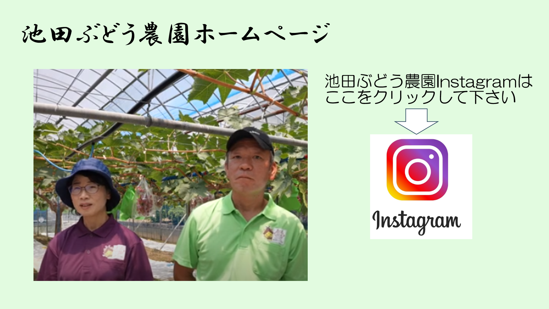 池田ぶどう農園Instagram 