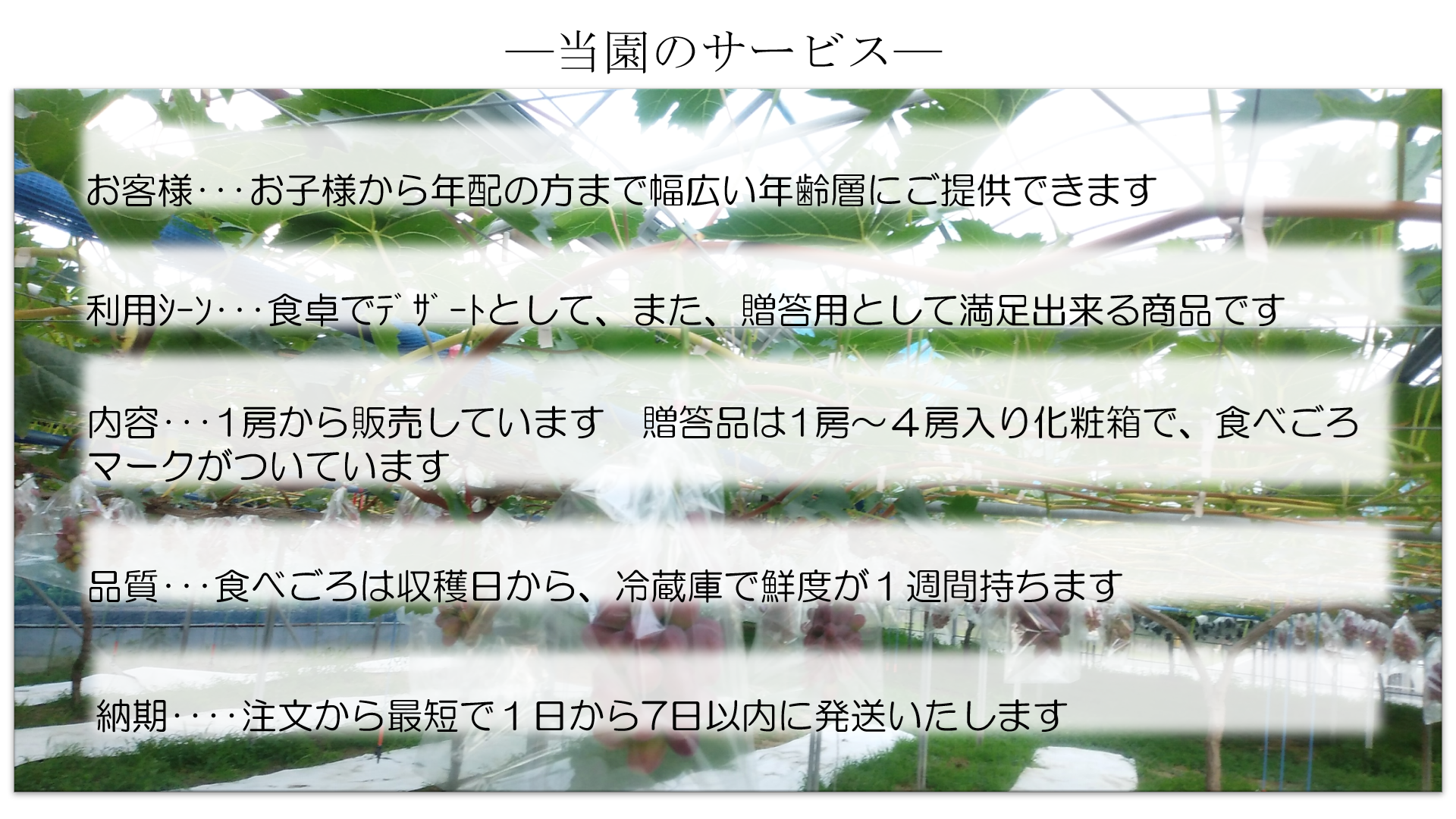 当園のサービス