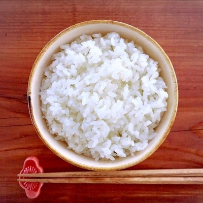 特別栽培米こしひかり　白米　10kg