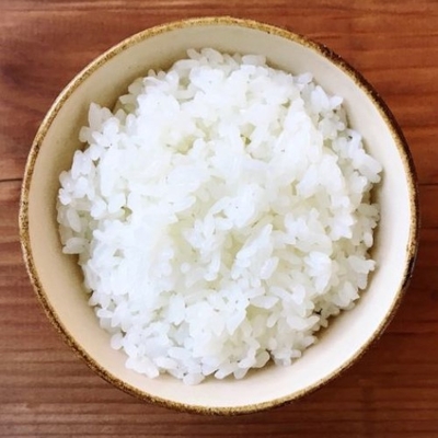 加賀の虎宝　白米　10kg