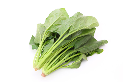 ほうれん草　※送料別
