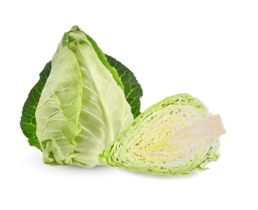とんがりキャベツ　※送料別