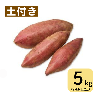 シルクスイート(5㎏・土付き･サイズ色々)　※送料別