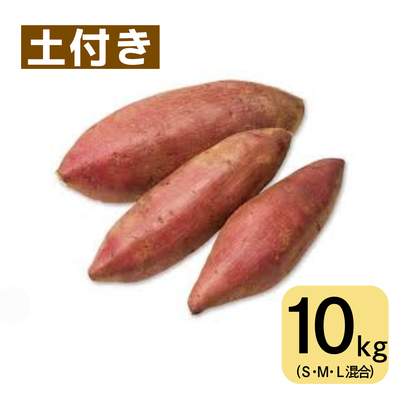 シルクスイート(10㎏・土付き･サイズ色々)　※送料別