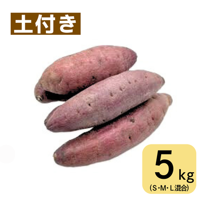 紅あづま(5㎏・土付き･サイズ色々)　※送料別