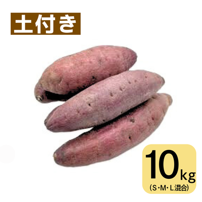 紅あづま(10㎏・土付き･サイズ色々)　※送料別