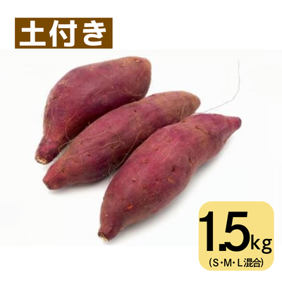 紅はるか(1.5㎏・土付き・サイズ色々)　※送料別