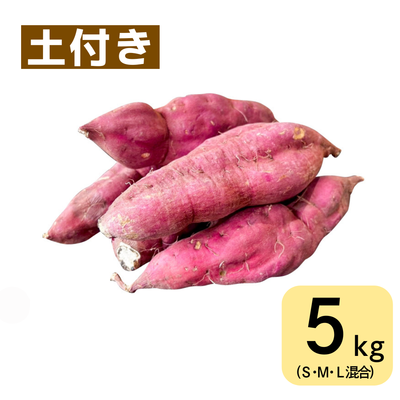 紅あずま(5㎏・土付き･サイズ色々)　※送料別