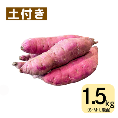 紅はるか(1.5㎏・土付き・サイズ色々)　※送料別