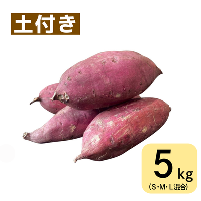 シルクスイート(5㎏・土付き･サイズ色々)　※送料別