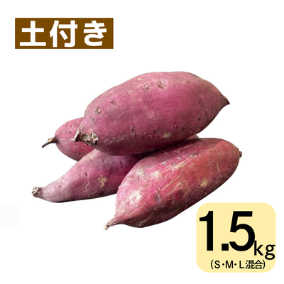 シルクスイート(1.5㎏・土付き･サイズ色々)　※送料別