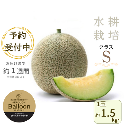 せとうちバルーン(Sクラス) ※送料別 ★なくなり次第終了 ★