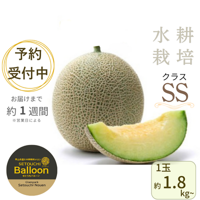 せとうちバルーン(SSクラス) ※送料別 ★無くなり次第終了★