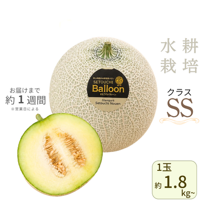 ★販売終了しました★ せとうちバルーン(SSクラス) ※送料別