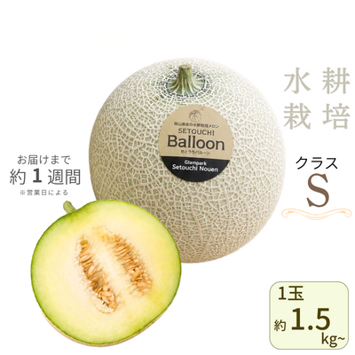 ★販売終了しました★ せとうちバルーン(Sクラス) ※送料別
