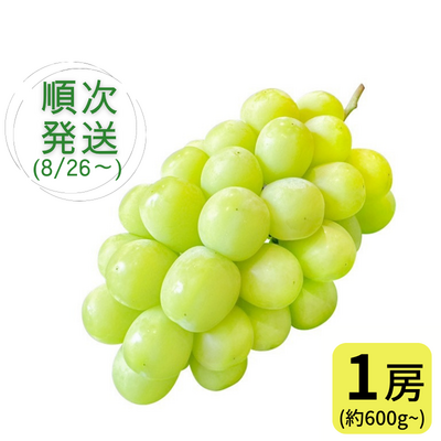 シャインマスカット(1房) ※送料別 ★無くなり次第終了 /順次お届け★