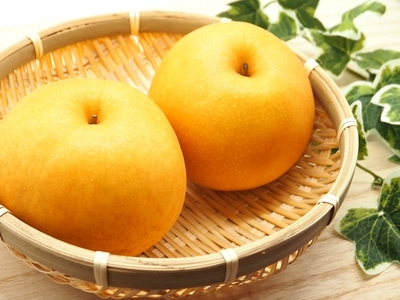 10月中旬頃より発送　和梨【新高】５kg（６～10玉）