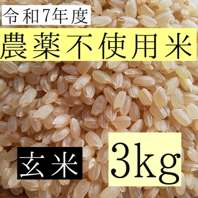 西山農園 さくら