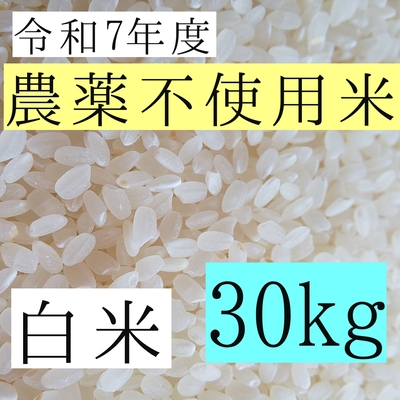 西山農園 さくら