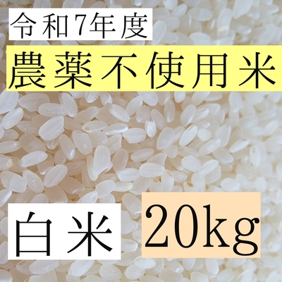 西山農園 さくら