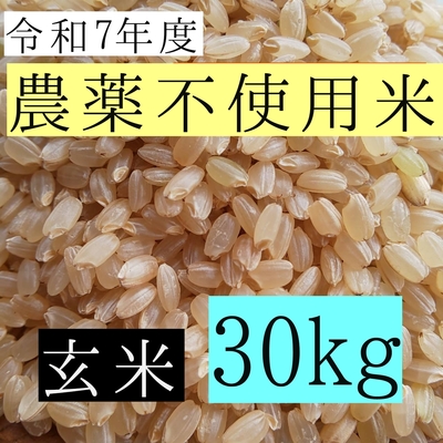 西山農園 さくら