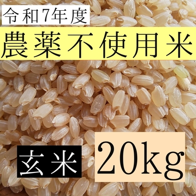 西山農園 さくら