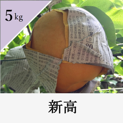 新高　5kg箱入り
