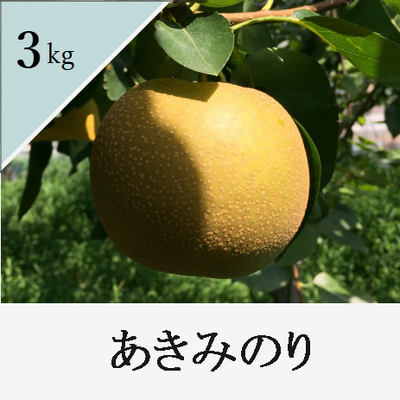 あきみのり　3kg箱入り