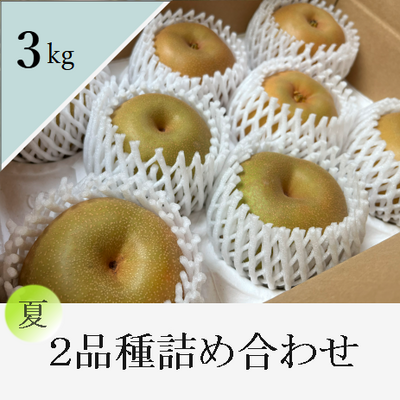 夏の和梨 ２品種食べ比べセット　3kg箱入り