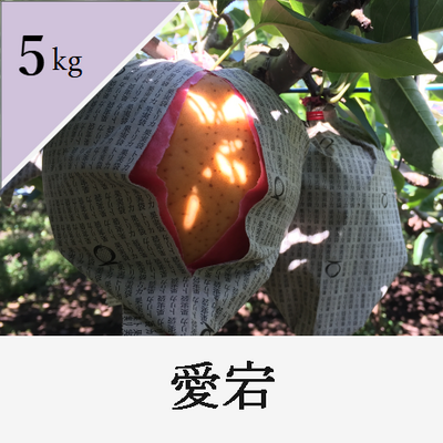 愛宕　5kg箱入り