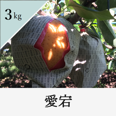 愛宕　3kg箱入り