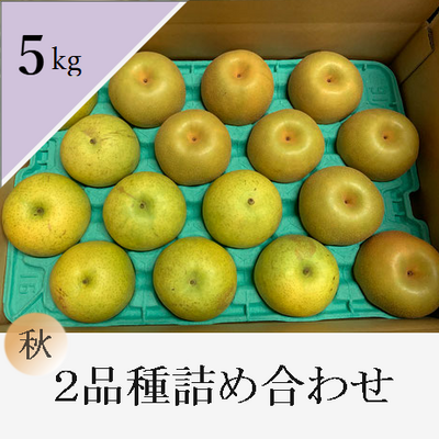 秋の和梨 ２品種食べ比べセット　5kg箱入り
