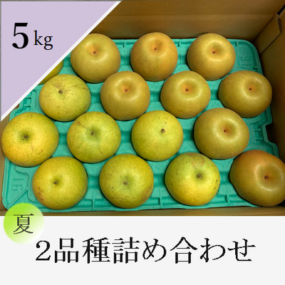 夏の和梨 ２品種食べ比べセット　5kg箱入り