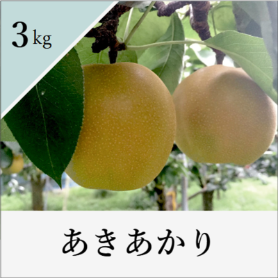あきあかり　3kg箱入り