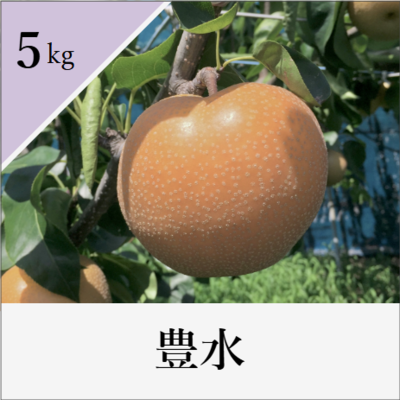 豊水　5kg箱入り