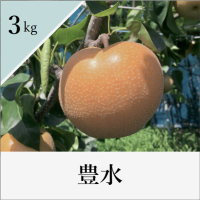 豊水　3kg箱入り